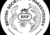 bsp-logo (2)