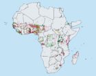 图1：2018年非洲嗜血杆菌的分布是根据扩大的特殊项目报道的，以消除被忽视的热带疾病（ESPEN）。绿色=患病率