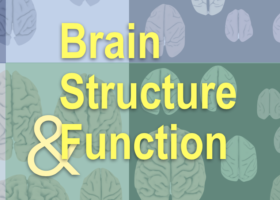 大脑结构和功能覆盖