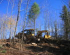 黄色挖掘机在森林里工作