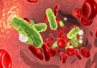 Bacterial blood infection, illustration
