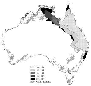 甘蔗蟾蜍在澳大利亚的历史扩展和预测分布(DEH, 2006)