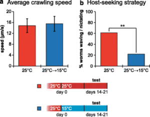 Ste。Carpocapae显示了温度引起的寻求宿主策略的变化。资料来源：https：//bmcbiol.biomedcentral.com/articles/10.1186/S12915-016-0259-0