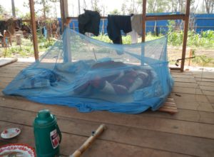移动人口往往与他们的家人和婴儿和儿童接触到疟疾载体的曝光，而在临时住房以及森林中发生，同时伴随着他们的父母在森林和种植园。