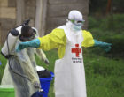Congon埃博拉病毒