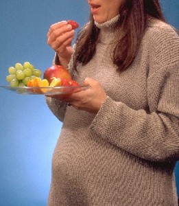 妊娠营养（CDC詹姆斯·加塔尼）