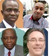 Joshua O. Babayemi, Innocent C. Nnorom, Oladele Osibanjo和Roland Weber