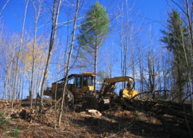 一个黄色的挖掘机正在森林里工作